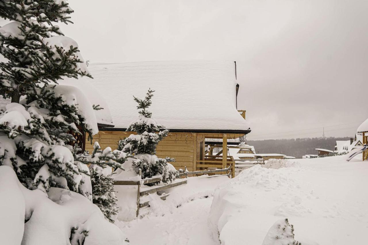 Domek Na Zrabku Pod Gubalowka Zakopane Exterior photo